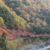 秋の嵯峨野観光トロッコ