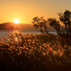湖北町の夕日
