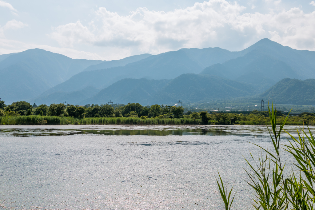 雄松崎の内湖（夏の琵琶湖畔より）