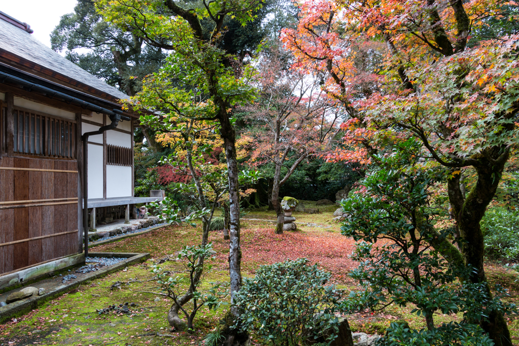 庫裡書院の中庭風景その４（那谷寺より）