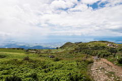 西登山道を見下ろす（夏の伊吹山より）