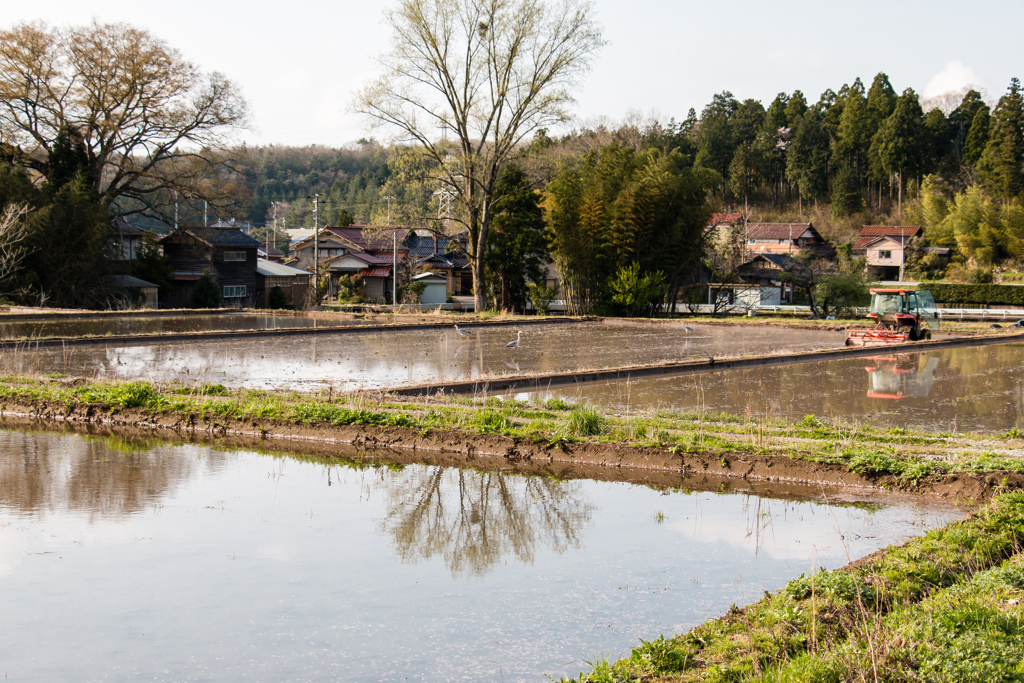 早春の田園風景１（滝ヶ原より）