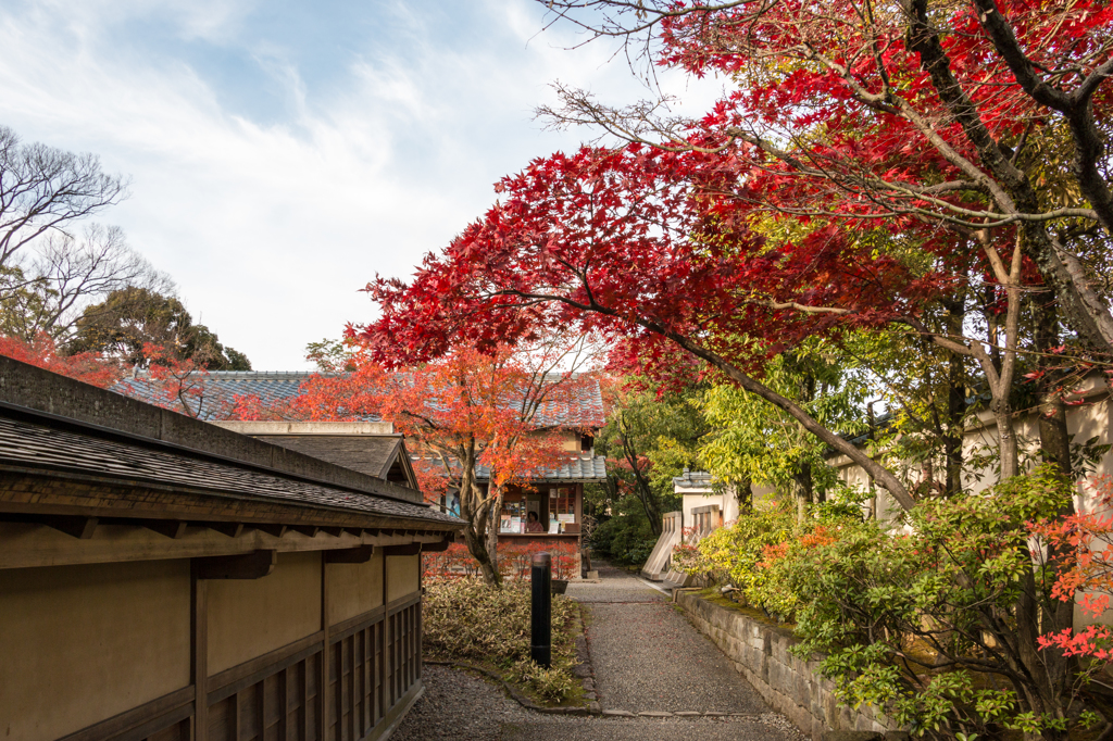 御茶屋入り口前（養浩館庭園より）