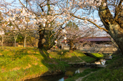 古九谷の杜親水公園２