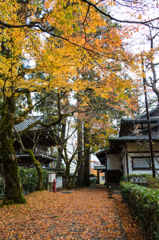 モミジと落ち葉の小道（那谷寺より）