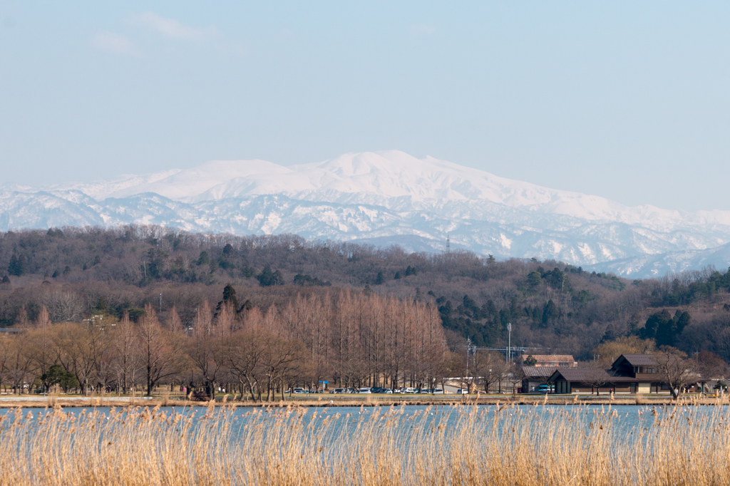 三月の白山その２（木場潟より）