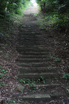 護城山金刀比羅神社の苔むした階段