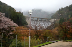 野州川ダム放流（ぶらり滋賀県甲賀市より）