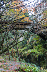 見上げたこおろぎ橋その２（こおろぎ橋と無限庵）