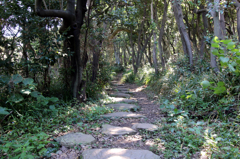 雄島の森、飛び石の道（雄島・楽しい時計回り編）