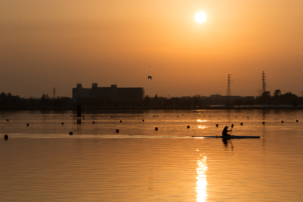 夕陽を浴びて（木場潟より）