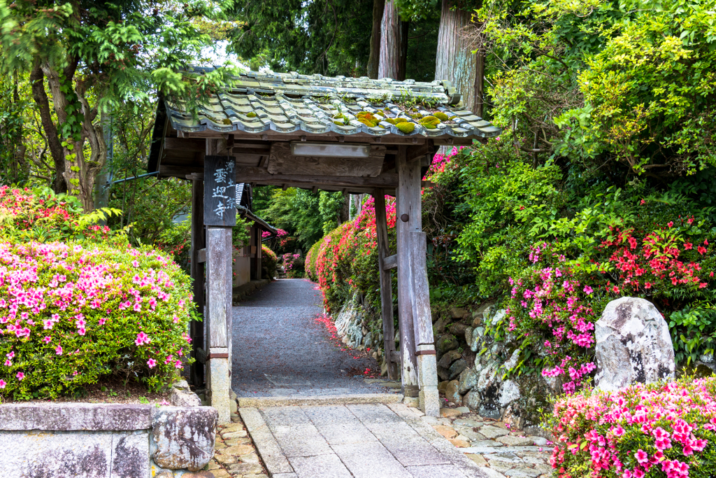 さつき寺の小さな山門（日野町巡りより）