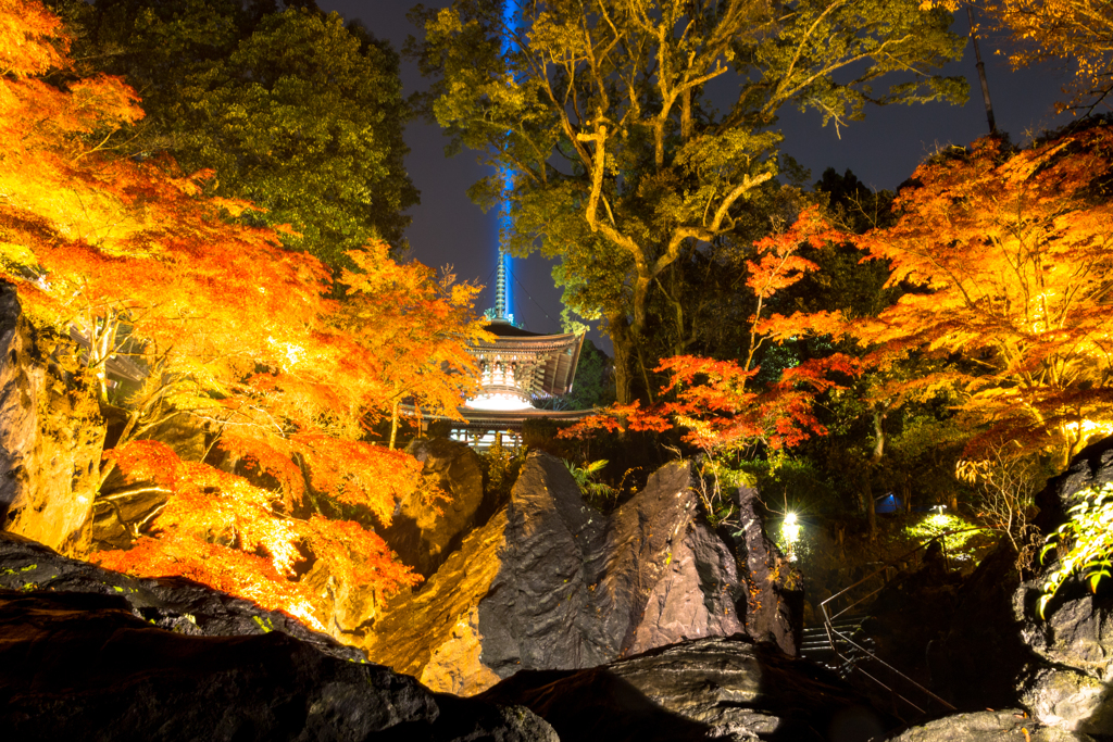 硅灰石と奥にそびえる多宝塔ライトアップ１（石山寺より）