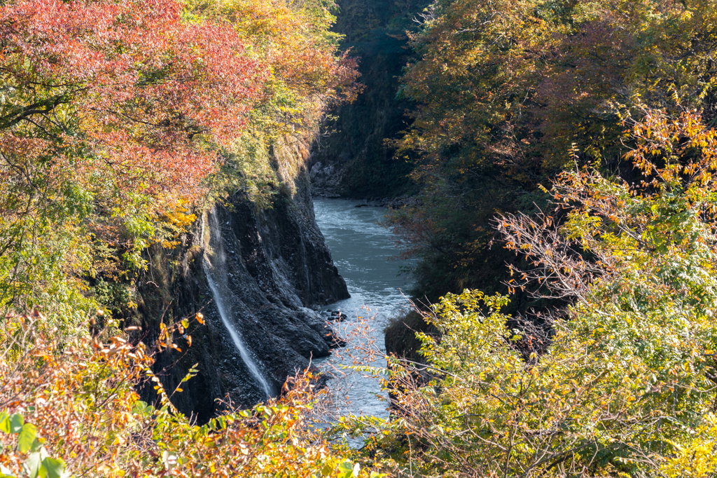 黄門橋より４（手取峡谷2015年秋より）