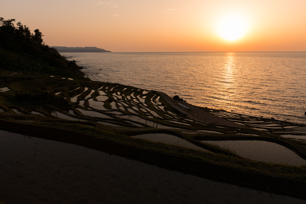 千枚田らしい夕景