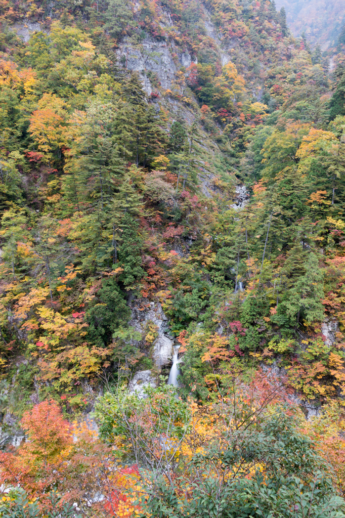 岩底（かまそこ）の滝２（2015秋の白山白川郷ホワイトロードより）