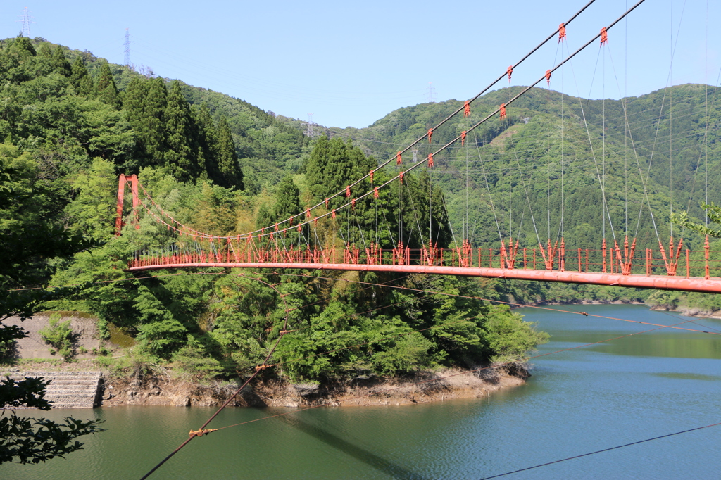 我谷吊橋を見上げて
