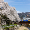 永平寺川橋梁
