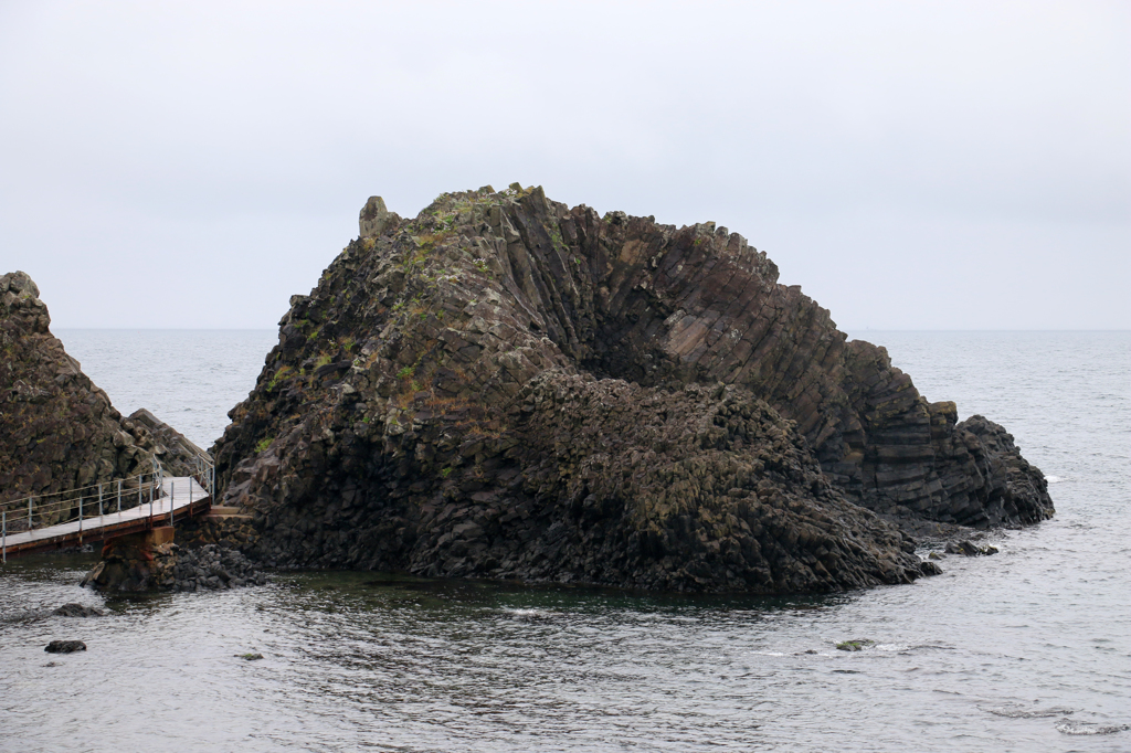 海獣「飛島」（越前松島水族館より）