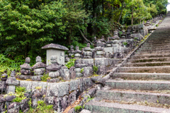 石塔が並ぶ石段（石塔寺より）