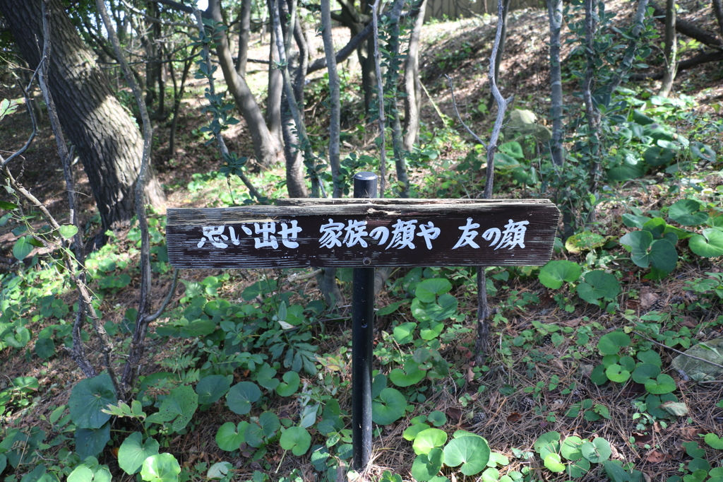 心に残る看板（美しき東尋坊より）