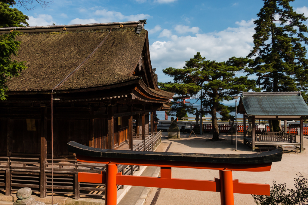 白髭神社本殿（夏の琵琶湖畔より）