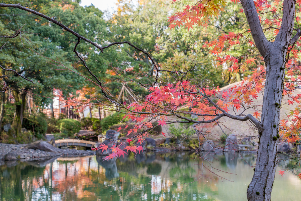切石橋（養浩館庭園より）