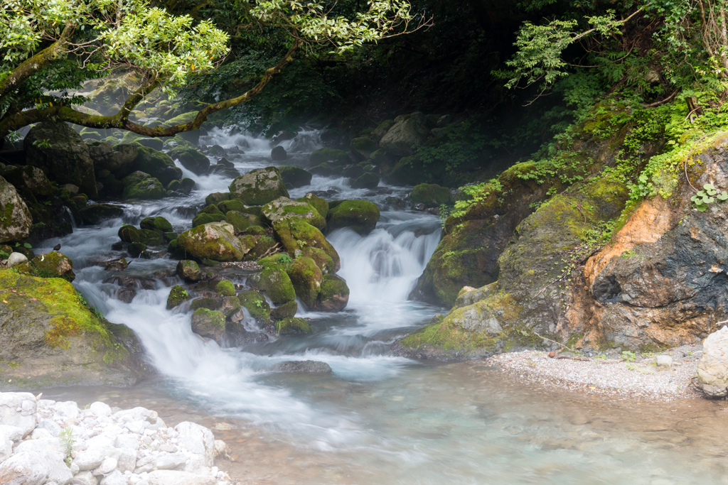 霧立つ川面５（河内の風穴より）