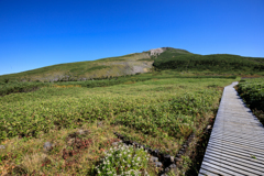 白山弥陀ヶ原