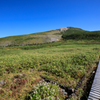 白山弥陀ヶ原