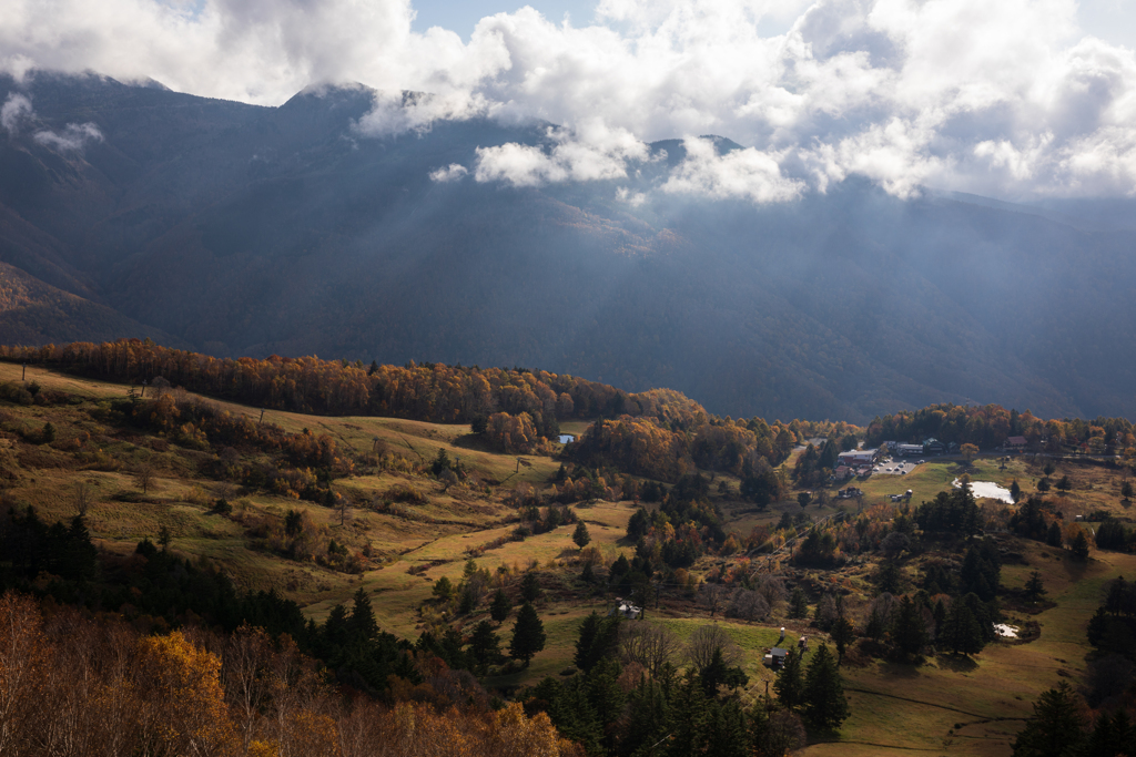 晩秋の山田牧場