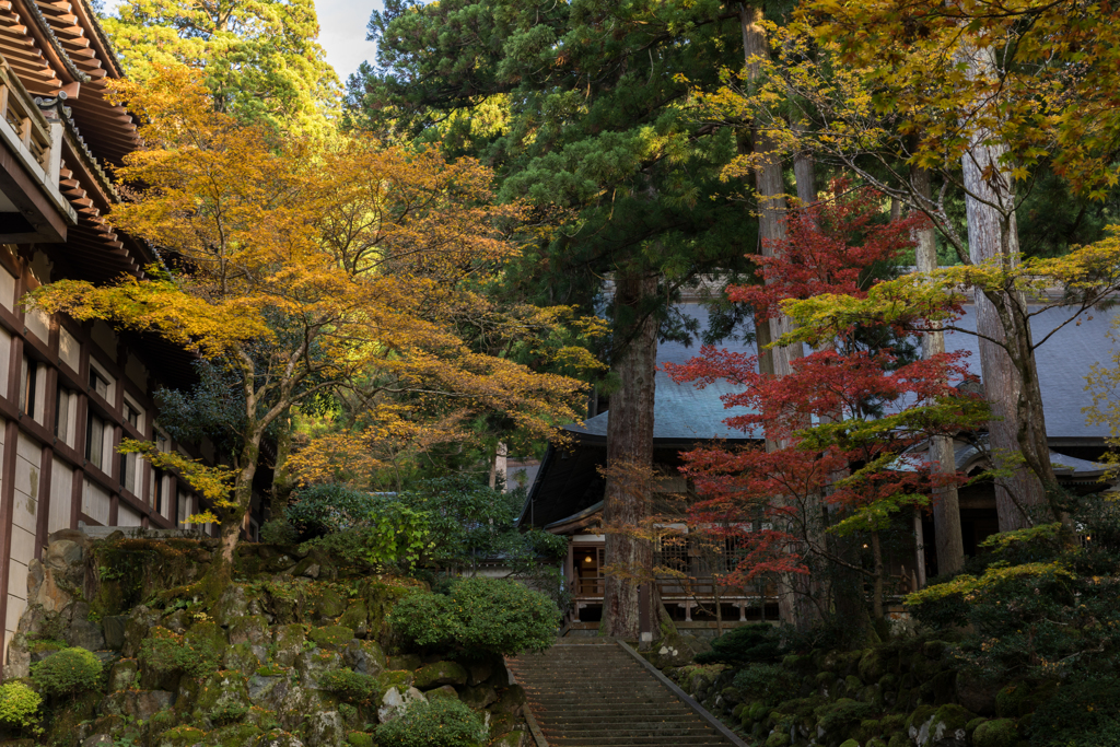 禅寺の紅葉