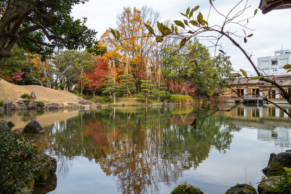 清廉からみた風景その１（養浩館庭園より）