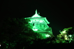 丸岡城の夏のライトアップ