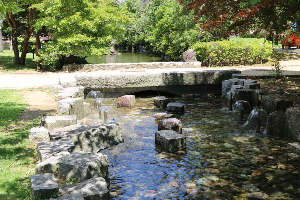 福井県総合グリーンセンターを散策してみた～庭園風の川・小さな噴水～