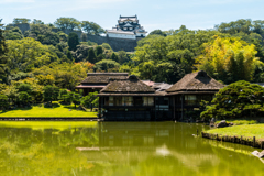 彦根城借景１(玄宮園より）