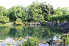 福井県総合グリーンセンターを散策してみた～水生植物園右側風景～