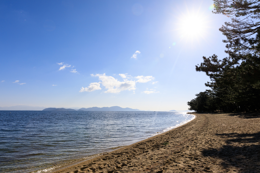 白砂青松の浜