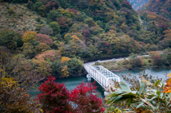 遊歩道の階段より２（2015秋の九頭竜湖より）