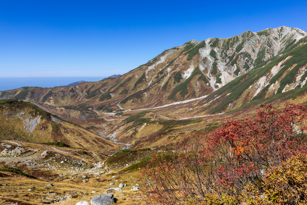 立山室堂の秋