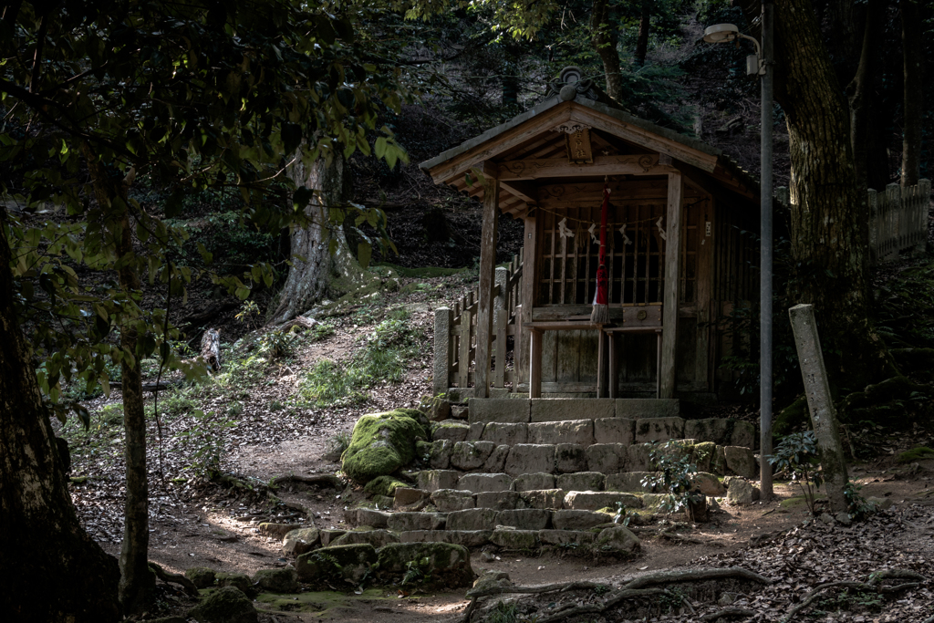 岩戸社（夏の琵琶湖畔より）