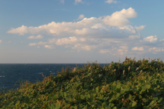 西日の中の海のある風景（雄島・死の反時計回り編）