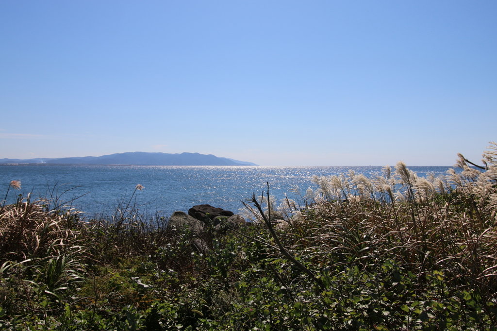 ススキと雄島の海その１（雄島・楽しい時計回り編）