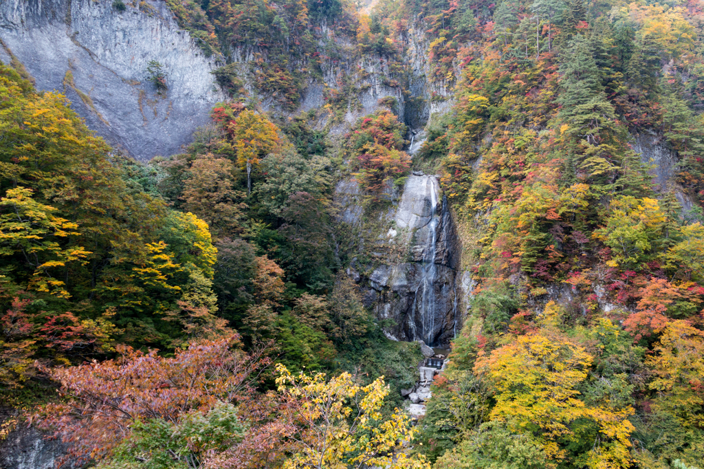 しりたか滝２（2015秋の白山白川郷ホワイトロードより）