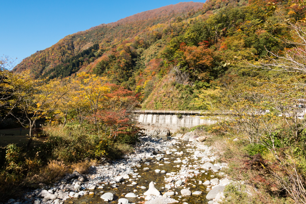 ホワイトロードに入らなくても１（2015秋の白山白川郷ホワイトロードより）