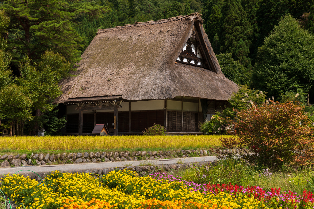 合掌造りのお寺