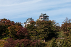 天空じゃないよ大野城