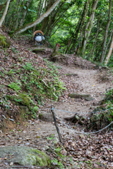 狸のお出迎え（鶏鳴の八滝より）