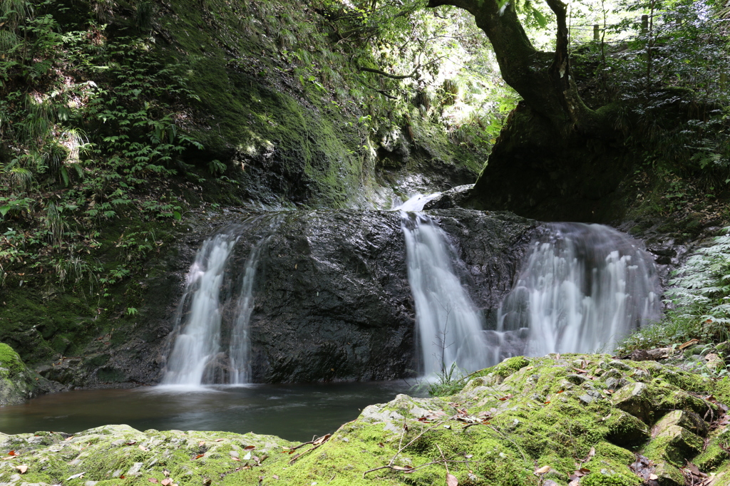 五段目の滝（鶴ヶ滝より）