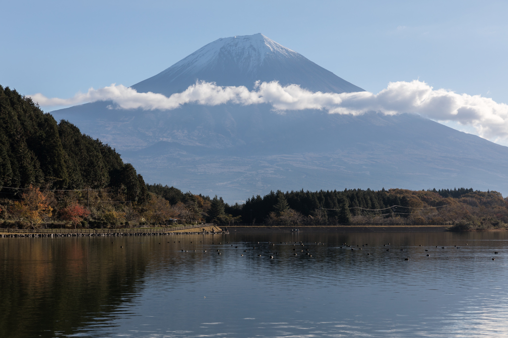 富士山